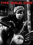 Wild One (1953) poster