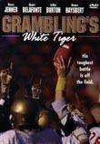 Grambling's White Tiger