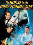 The Horse in the Gray Flannel Suit