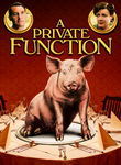 Funcion de gala poster