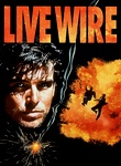 Live Wire Icon