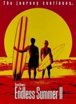 The Endless Summer II