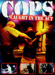 Cops & Robbers (Guardie e ladri) poster