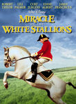 Miracle of the White Stallions