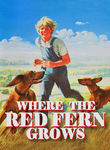 Where the Red Fern Grows
