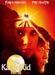 The Karate Kid Part III / The Next Karate Kid