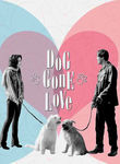 Dog Gone Love