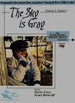 The Sky Is Gray