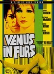 Venus in Furs