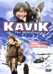 Kavik the Wolf Dog