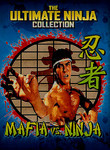 Ninja vs. Mafia (kung fu)