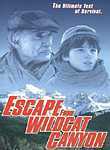Escape from Wildcat Canyon