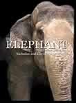 The Elephant