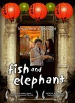 Fish and Elephant