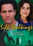 Silk Stalkings: Season 5