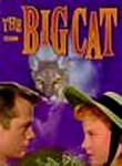 The Big Cat
