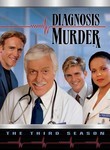 Diagnosis Murder: Season 3 (5-Disc Series)