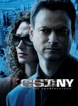 CSI: NY: Season 4 (6-Disc Series)