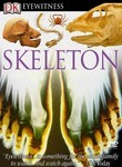 Skeleton