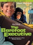 The Barefoot Executive