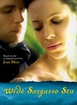 Wide Sargasso Sea