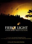 Fierce Light: When Spirit Meets Action poster