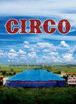 Circo