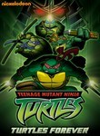 Teenage Mutant Ninja Turtles: Turtles Forever