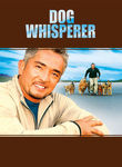Dog Whisperer with Cesar Millan: Season 3: Disc 2