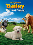 Adventures of Bailey: The Lost Puppy