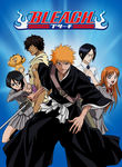 Bleach: Vol. 11: The Rescue