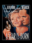 A Star Is Born