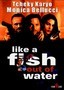 Like a Fish Out of Water