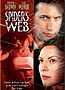 Spider's Web