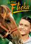 My Friend Flicka