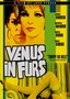 Venus in Furs