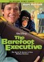 The Barefoot Executive
