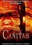 Cañitas